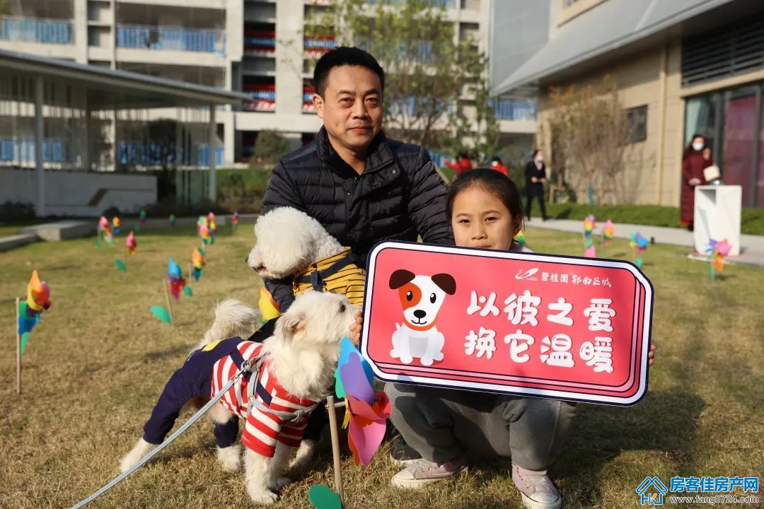 碧桂园楚悦台 碧桂园楚悦台