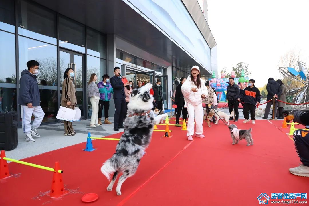 碧桂园楚悦台 碧桂园楚悦台