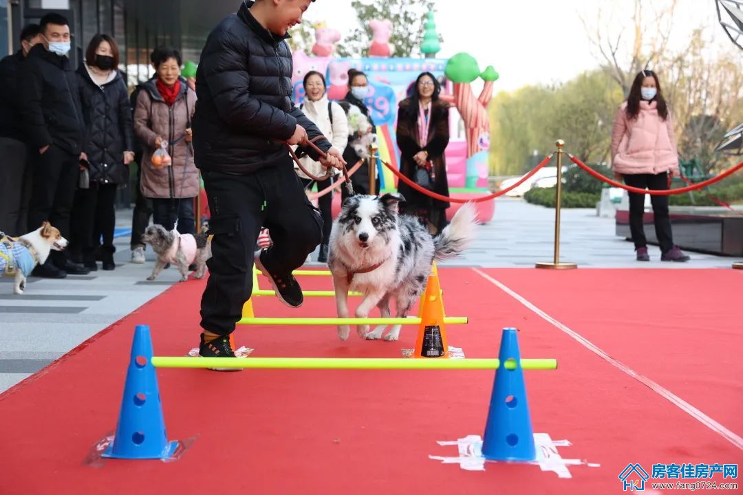 碧桂园楚悦台 碧桂园楚悦台