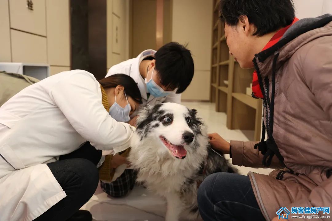 碧桂园楚悦台 碧桂园楚悦台