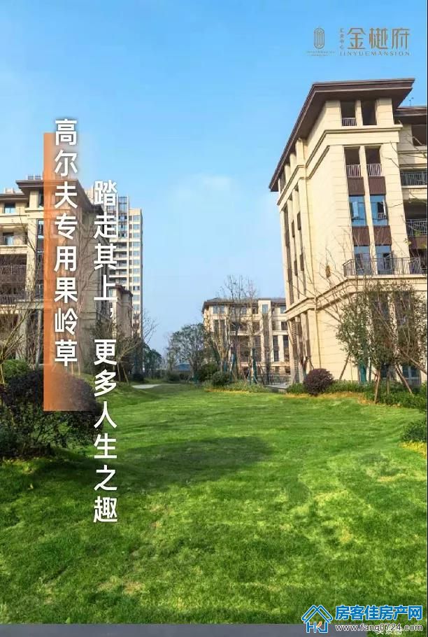 汇金中心·金樾府 汇金中心·金樾府