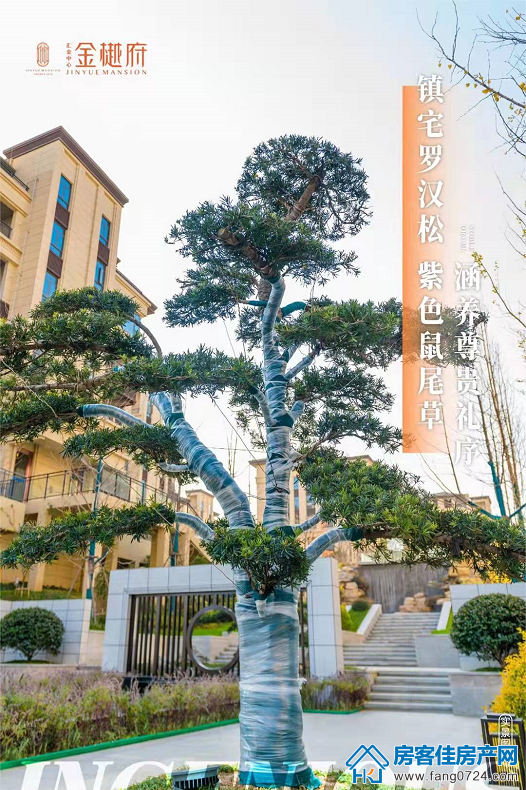 汇金中心·金樾府 汇金中心·金樾府