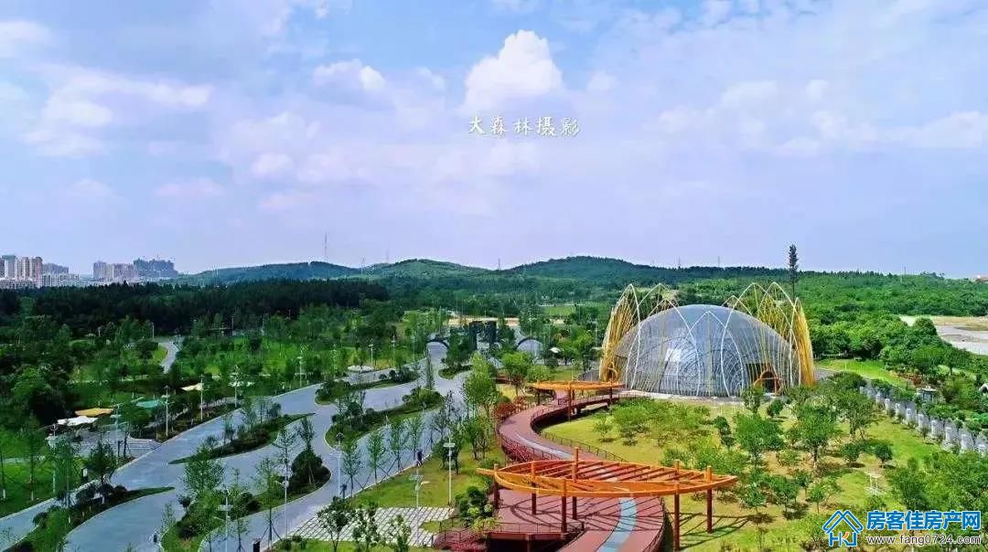 玲珑·紫悦蓝山