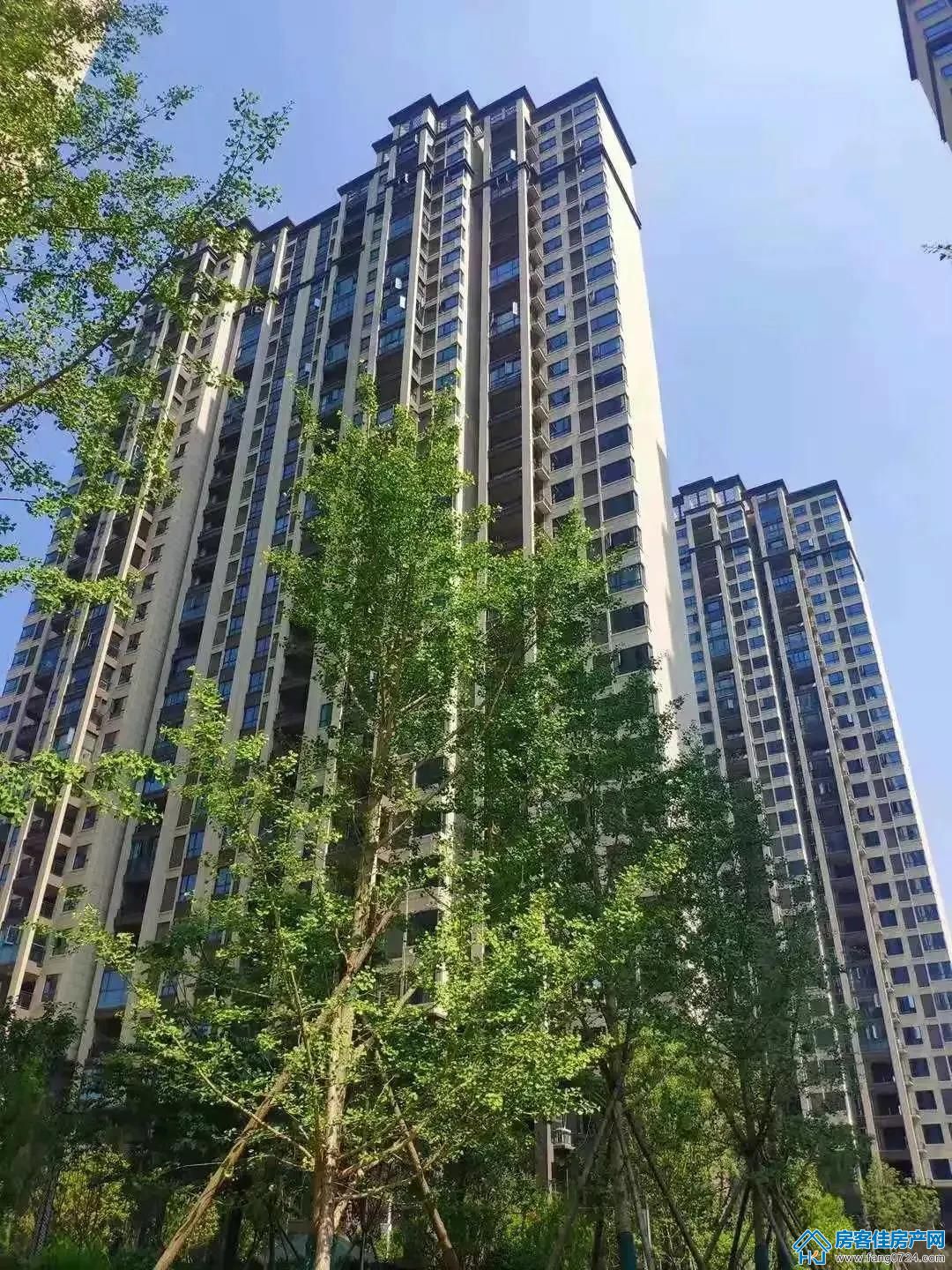 洋丰地产 洋丰地产