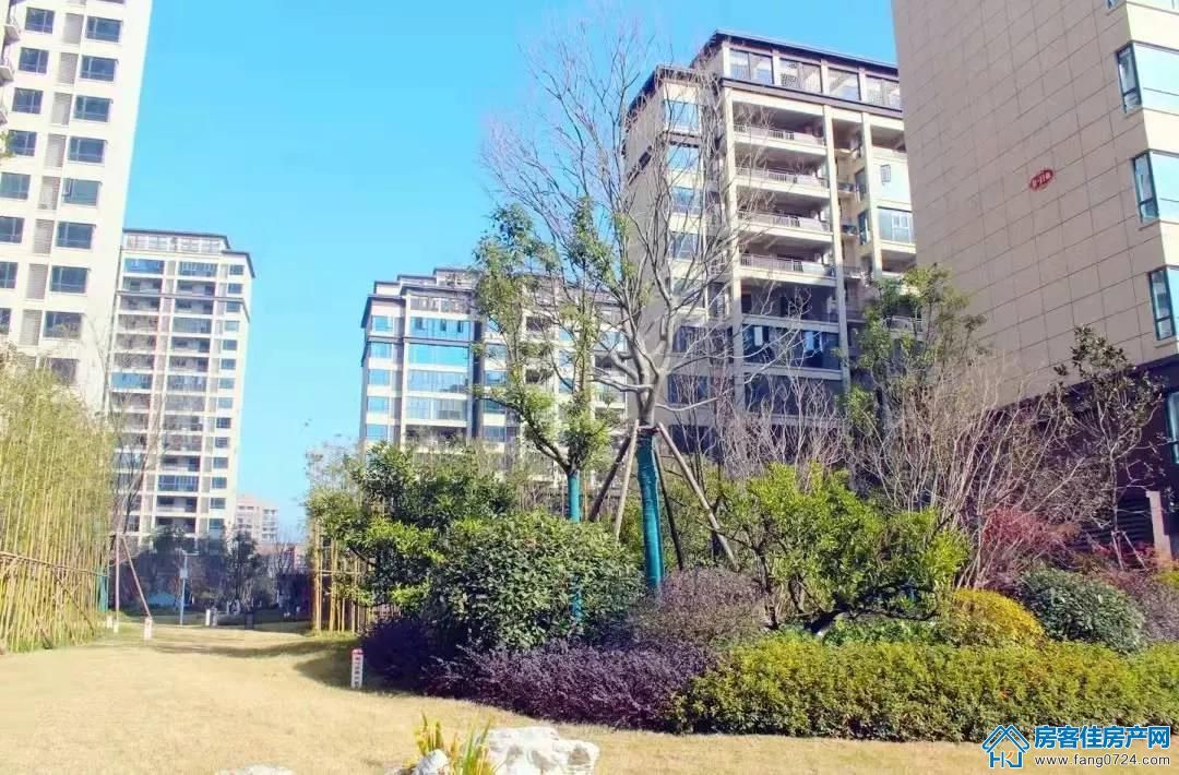 洋丰·凤凰香醍 洋丰·凤凰香醍