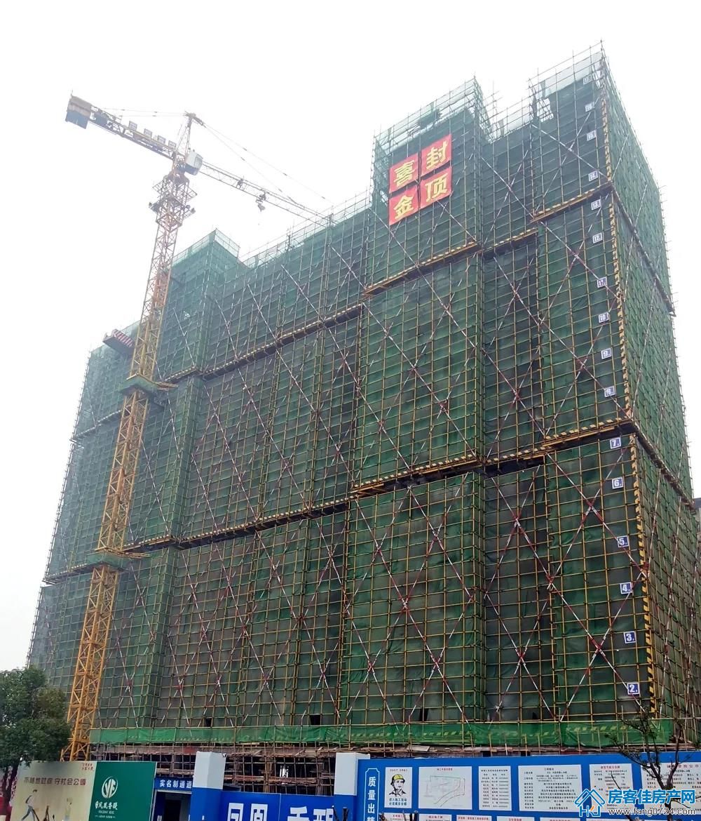 洋丰·凤凰香醍 洋丰·凤凰香醍