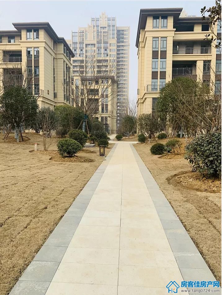 金樾府 金樾府