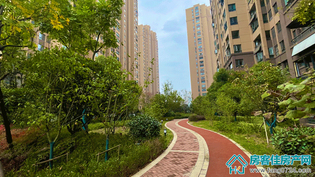 3326 3326