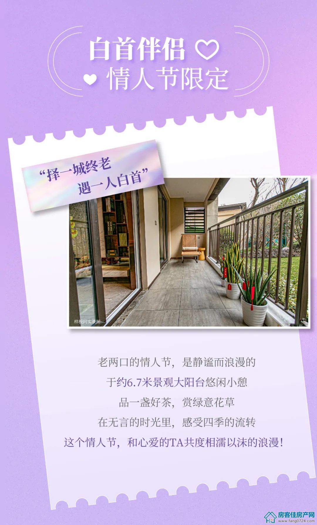 新鸥鹏教育城 新鸥鹏教育城