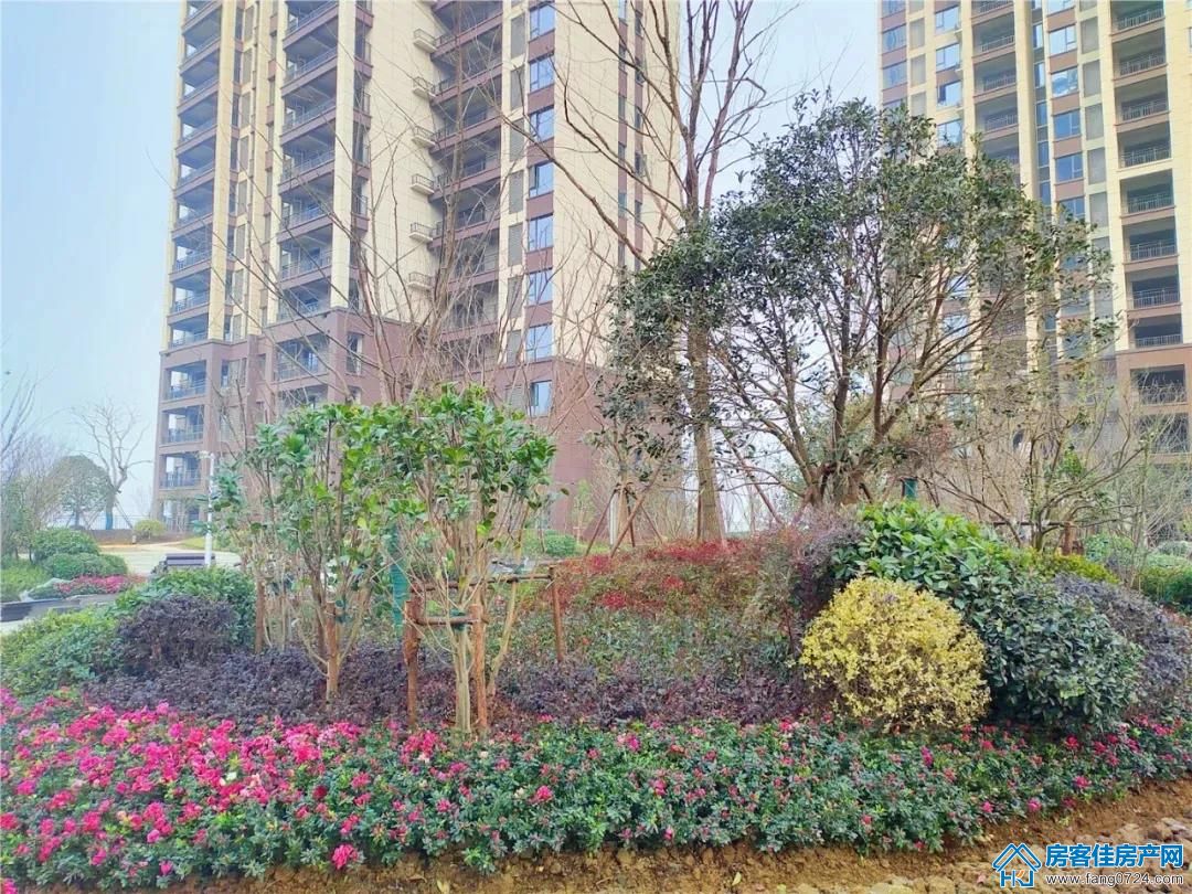 洋丰地产 洋丰地产