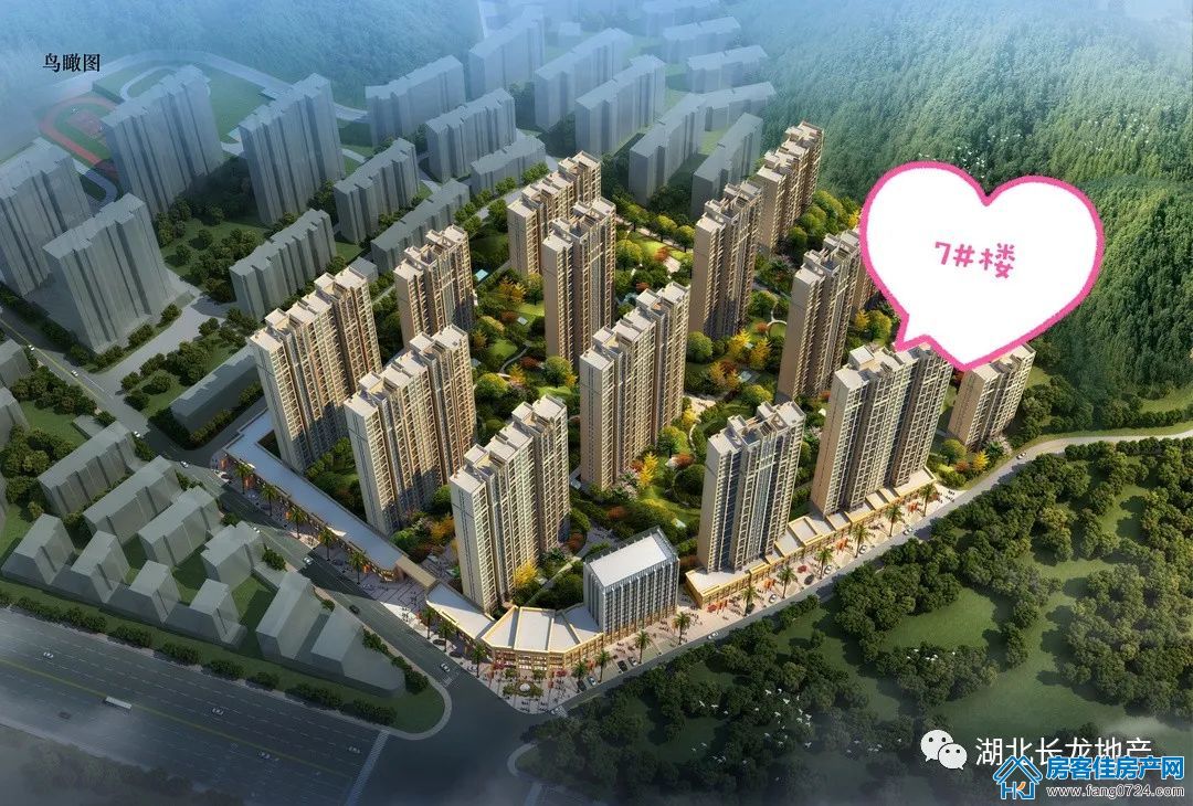 长龙·中央公园 长龙·中央公园