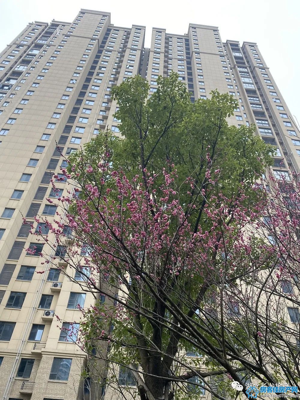 长龙·中央公园 长龙·中央公园