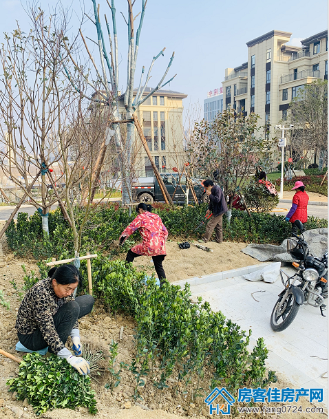 汇金中心·金樾府 汇金中心·金樾府