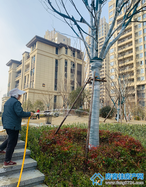 汇金中心·金樾府 汇金中心·金樾府
