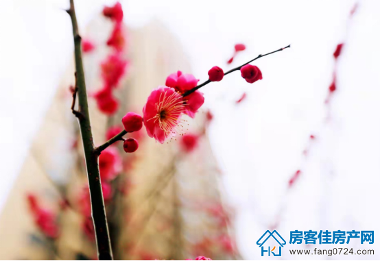 泓博·世纪首府 泓博·世纪首府
