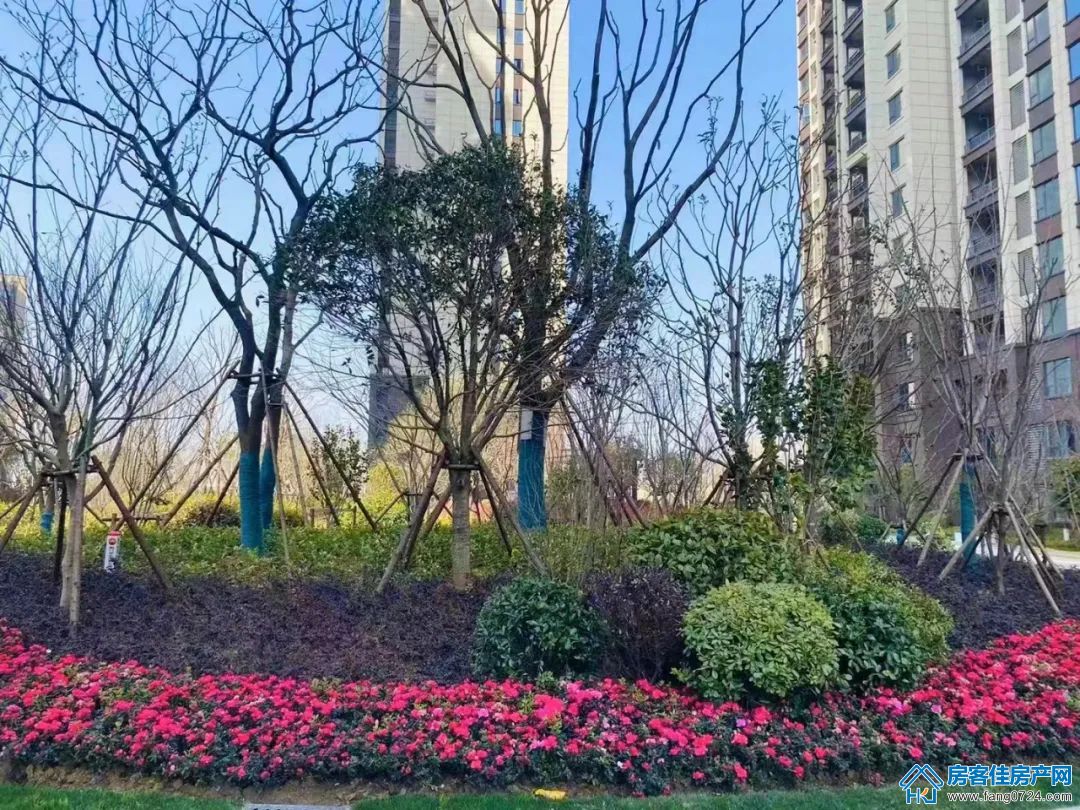 洋丰地产 洋丰地产