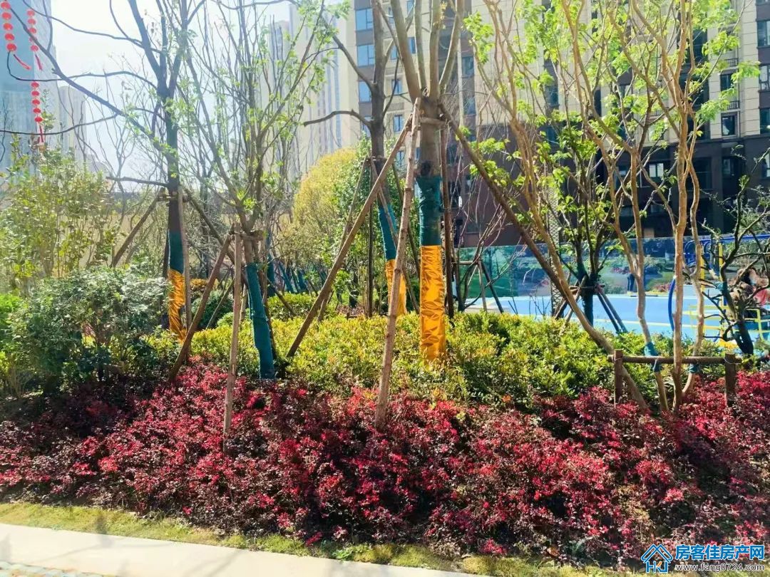 洋丰地产 洋丰地产