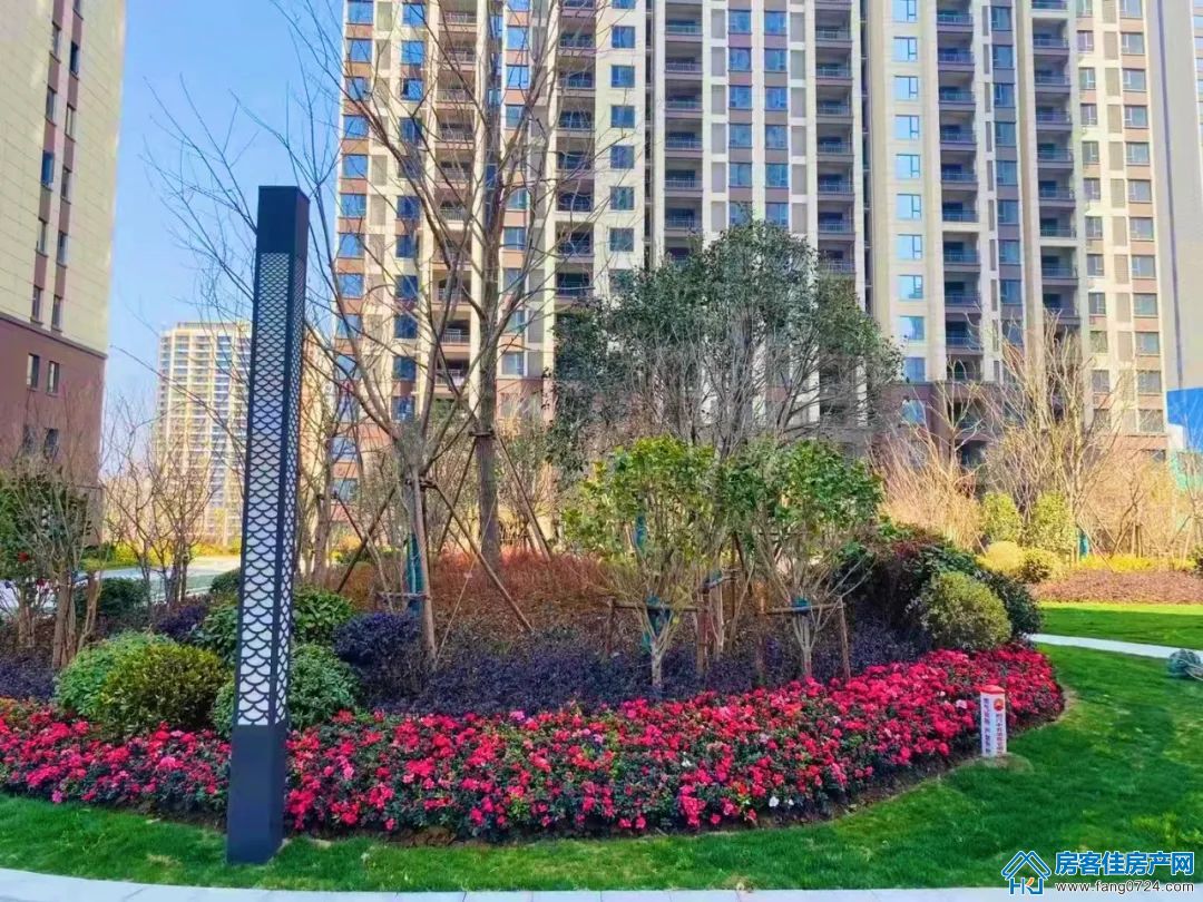 洋丰地产 洋丰地产