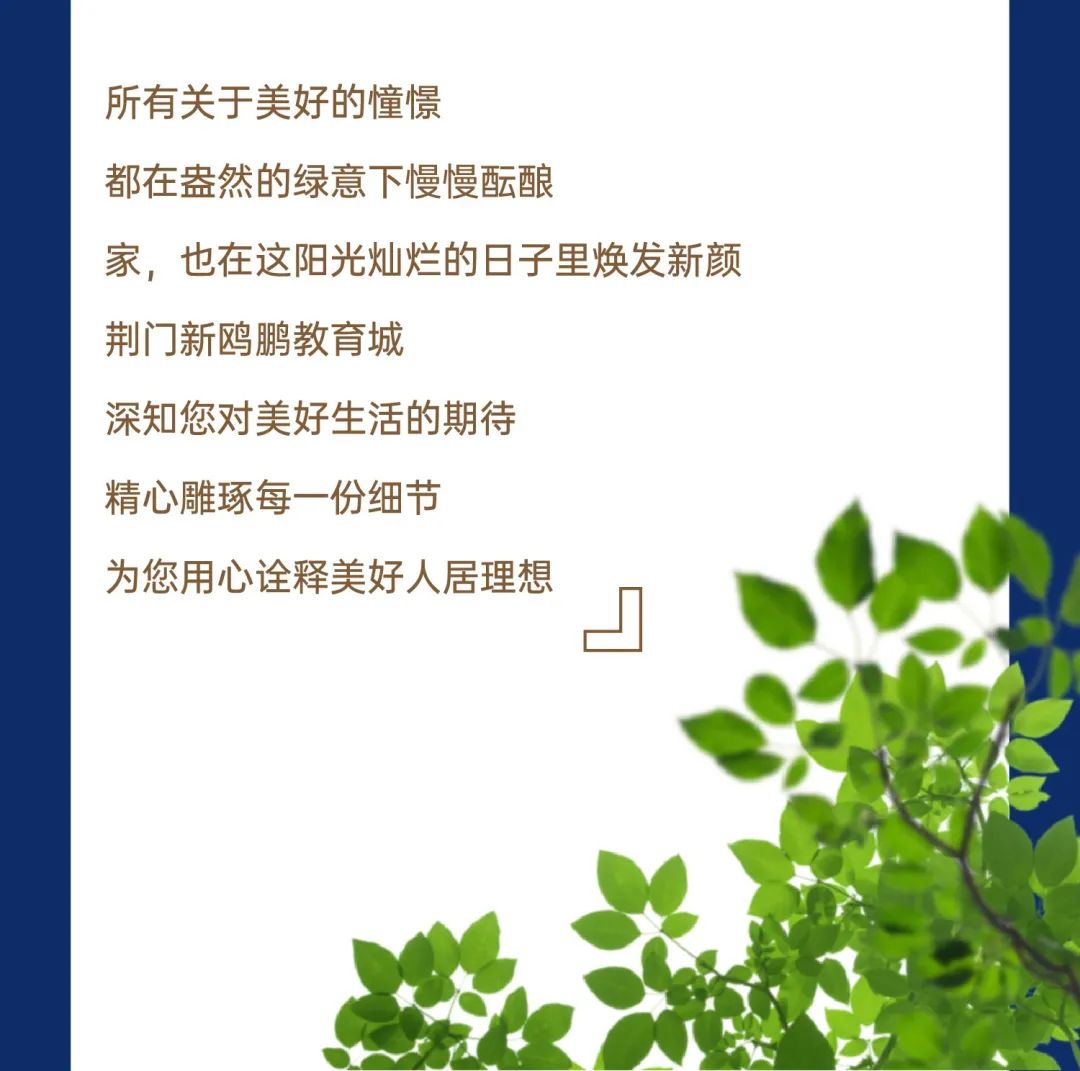 新鸥鹏教育城 新鸥鹏教育城