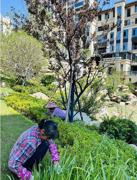 汇金中心·金樾府 汇金中心·金樾府